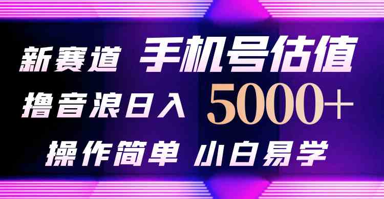 抖音不出境直播【手机号估值】最新撸音浪，日入5000+，简单易学-副业宇宙