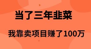 当了3年韭菜，我靠卖项目赚了100万+-副业宇宙