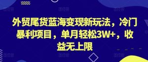 外贸尾货蓝海变现新玩法，冷门暴利项目，单月轻松3W+，收益无上限【揭秘】-副业宇宙