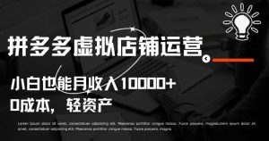 拼多多虚拟店铺运营小白也能月收入10000+【揭秘】-副业宇宙