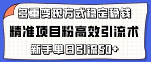 精准项目粉高效引流术，新手单日引流50+，多重变现方式稳定赚钱【揭秘】-副业宇宙