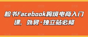 脸书Facebook跨境电商入门课，外贸·独立站必修-副业宇宙