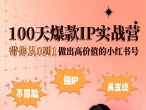 小红书100天爆款IP实战营，带你从0到1做出高价值的小红书号-副业宇宙