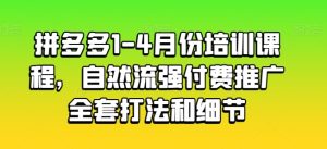 拼多多1-4月份培训课程，自然流强付费推广全套打法和细节-副业宇宙