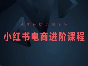 从零开始走向专业，小红书电商进阶课程-副业宇宙
