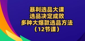 暴利选品大课：选品决定成败，教你多种大爆款选品方法(12节课)-副业宇宙