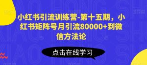 小红书引流训练营-第十五期，小红书矩阵号月引流80000+到微信方法论-副业宇宙