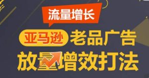 亚马逊流量增长-老品广告放量增效打法，循序渐进，打造更多TOP listing​-副业宇宙