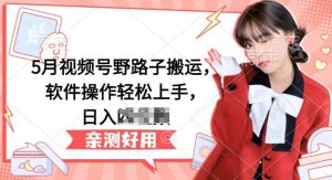 5月视频号野路子搬运,软件操作轻松上手,日入三位数【揭秘】-副业宇宙