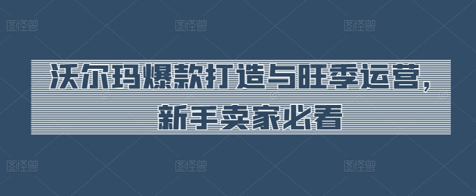 沃尔玛爆款打造与旺季运营，新手卖家必看-副业宇宙