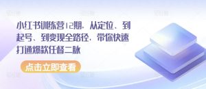 小红书训练营12期，从定位、到起号、到变现全路径，带你快速打通爆款任督二脉-副业宇宙