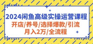 2024闲鱼高级实操运营课程:开店/养号/选择爆款/引流/月入2万/全流程-副业宇宙