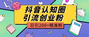 外面收费3980抖音认知圈引流创业粉玩法日引200+精准粉【揭秘】-副业宇宙