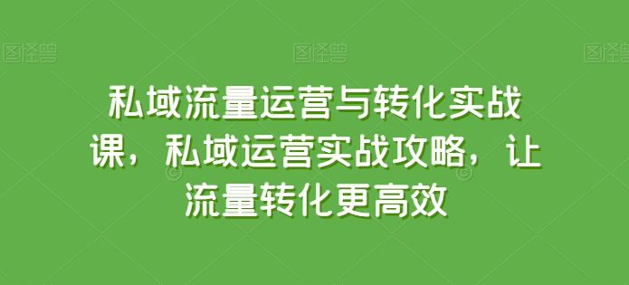私域流量运营与转化实战课，私域运营实战攻略，让流量转化更高效-副业宇宙