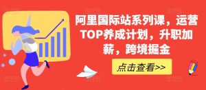 阿里国际站系列课,运营TOP养成计划,升职加薪,跨境掘金-副业宇宙