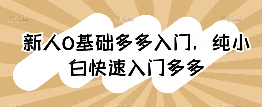 新人0基础多多入门，​纯小白快速入门多多-副业宇宙