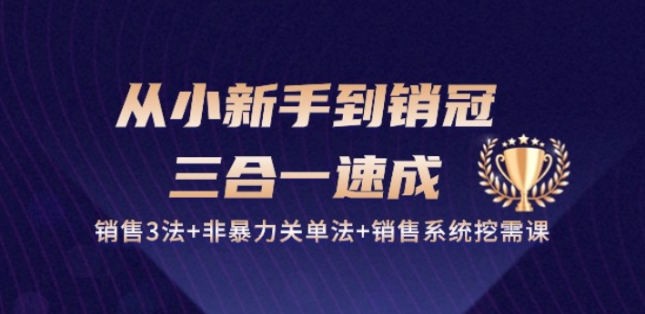从小新手到销冠 三合一速成：销售3法+非暴力关单法+销售系统挖需课 (27节)-副业宇宙