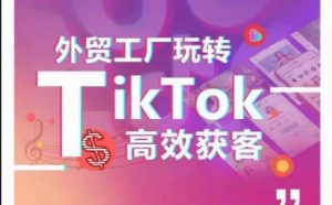 外贸工厂玩转TikTok高效获客,多种引流方式与账号定位技巧,拆解爆款短视频打造成功案例-副业宇宙
