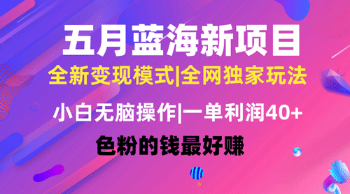 五月蓝海项目全新玩法，小白无脑操作，一天几分钟，矩阵操作，月入4万+-副业宇宙