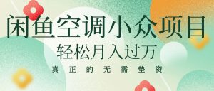 闲鱼卖空调小众项目 轻松月入过万 真正的无需垫资金-副业宇宙