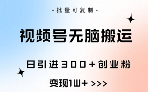 视频号无脑搬运日引300+创业粉，变现1W+可批量复制-副业宇宙