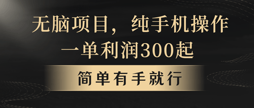 无脑项目，一单几百块，轻松月入5w+，看完就能直接操作-副业宇宙