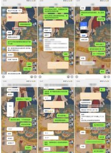 云起龙骧|15天纯利10W+，国学掘金计划玩法全网首次公开【揭秘】-副业宇宙