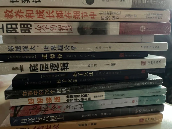 最新图书项目，0成本，外面收费199！-副业宇宙