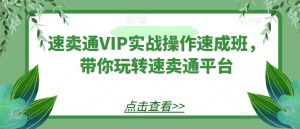 速卖通VIP实战操作速成班,带你玩转速卖通平台-副业宇宙