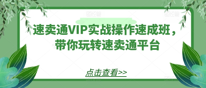 速卖通VIP实战操作速成班，带你玩转速卖通平台-副业宇宙