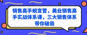 销售高手蜕变营,美业销售高手实战体系课,三大销售体系带你破局-副业宇宙
