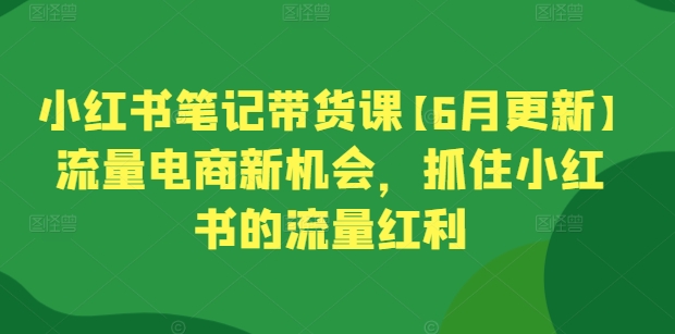 小红书笔记带货课【6月更新】流量电商新机会，抓住小红书的流量红利-副业宇宙
