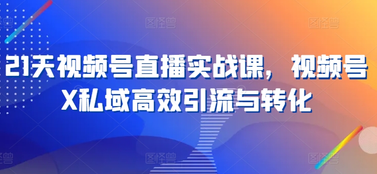 21天视频号直播实战课，视频号X私域高效引流与转化-副业宇宙