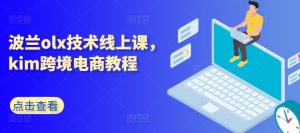 波兰olx技术线上课,kim跨境电商教程-副业宇宙