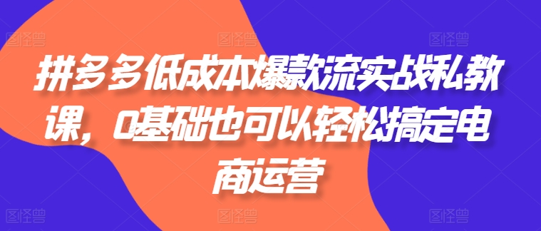 拼多多低成本爆款流实战私教课，0基础也可以轻松搞定电商运营-副业宇宙