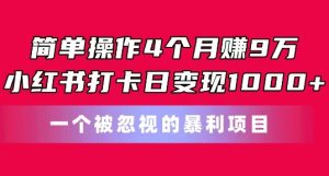 简单操作4个月赚9w,小红书打卡日变现1k,一个被忽视的暴力项目【揭秘】-副业宇宙