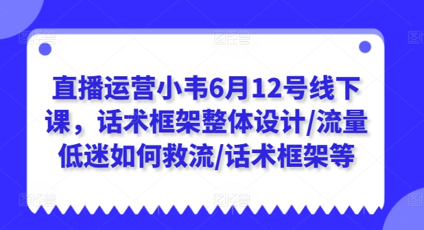 直播运营小韦6月12号线下课，话术框架整体设计/流量低迷如何救流/话术框架等-副业宇宙