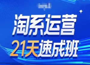 淘系运营24天速成班第28期最新万相台无界带免费流量-副业宇宙