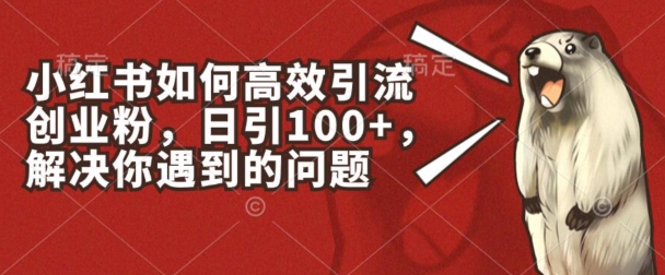 小红书如何高效引流创业粉，日引100+，解决你遇到的问题【揭秘】-副业宇宙