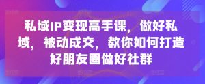 私域IP变现高手课,做好私域,被动成交,教你如何打造好朋友圈做好社群-副业宇宙