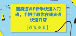 速卖通VIP新手快速入门班,手把手教你在速卖通快速开店-副业宇宙