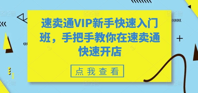 速卖通VIP新手快速入门班，手把手教你在速卖通快速开店-副业宇宙