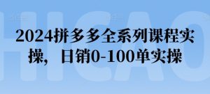 2024拼多多全系列课程实操,日销0-100单实操【必看】-副业宇宙