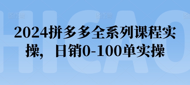 2024拼多多全系列课程实操，日销0-100单实操【必看】-副业宇宙