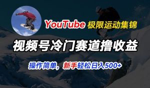 视频号冷门赛道撸收益,YouTube搬运极限运动集锦,暴力起号,操作简单流量高,轻松日入5张【揭秘】-副业宇宙