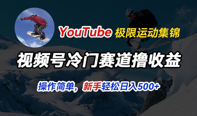 视频号冷门赛道撸收益，YouTube搬运极限运动集锦，暴力起号，操作简单流量高，轻松日入5张【揭秘】-副业宇宙