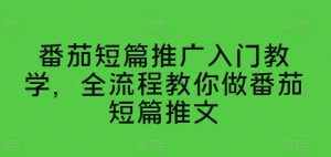 番茄短篇推广入门教学,全流程教你做番茄短篇推文-副业宇宙