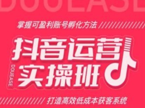 抖音运营实操班，掌握可盈利账号孵化方法，打造高效低成本获客系统-副业宇宙