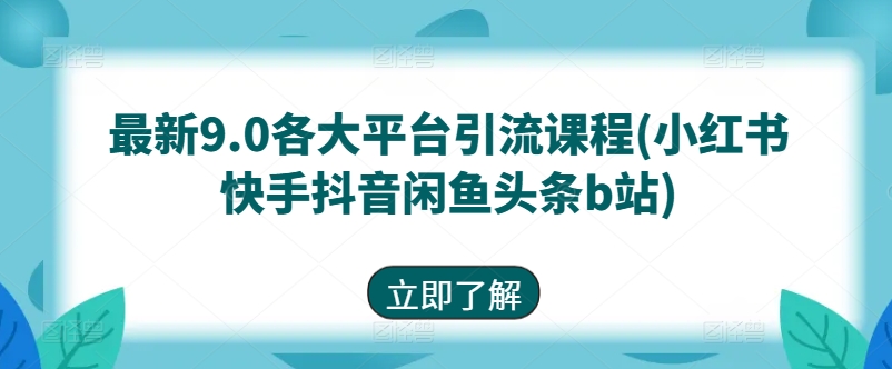 最新9.0各大平台引流课程(小红书快手抖音闲鱼头条b站)-副业宇宙