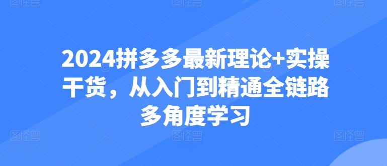 2024拼多多最新理论+实操干货，从入门到精通全链路多角度学习-副业宇宙